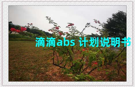 滴滴abs 计划说明书